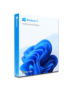 Windows 11 pro 2