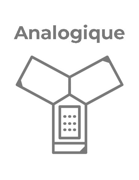 Audioconférence Analogique